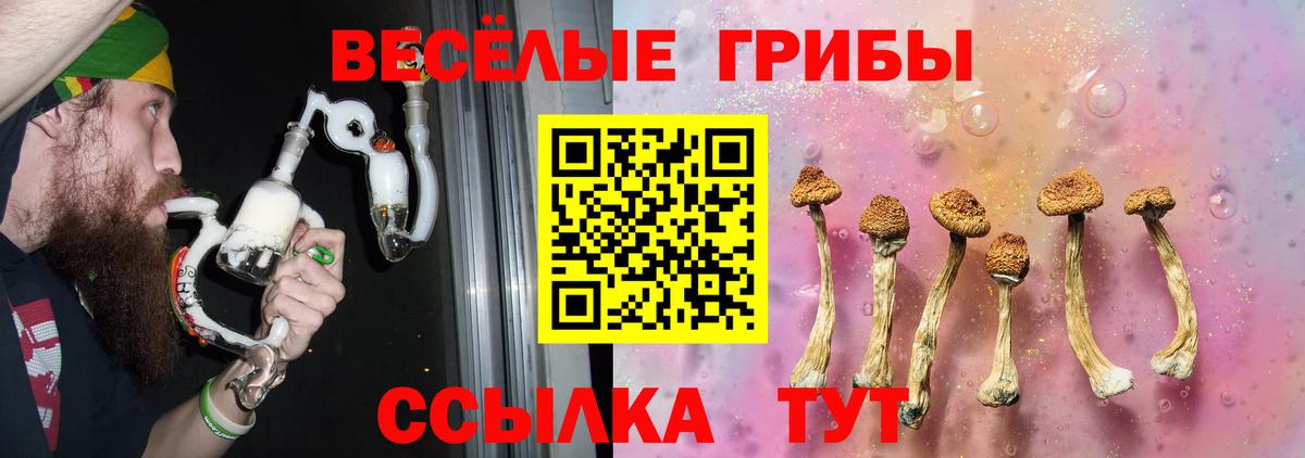 Химки  Галлюциногенные грибы Cubensis  Вход с VPN 